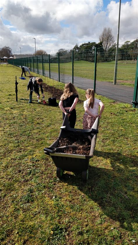 Abbey Woods Academy On Twitter Hedgerow Planting Pics