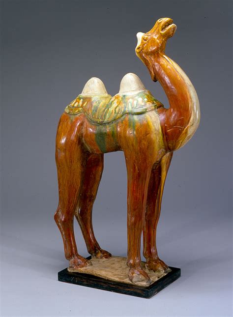 Bactrian Camel - New Orleans Museum of Art