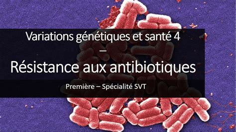 Cours Sp Svt Eres La R Sistance Aux Antibiotiques Youtube