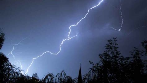 What To Do If Your Tree Is Struck By Lightning