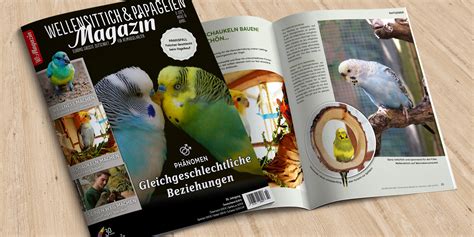 Gefiederte Welt Papageien Wp Wellensittich Papageien Magazin