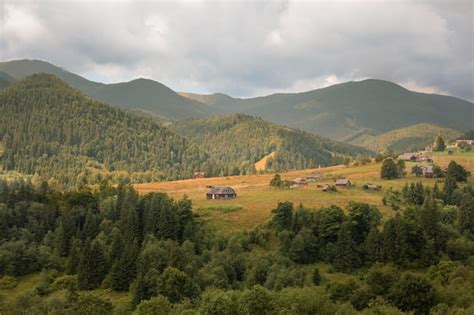 Schöne ländliche Aussicht mit Bäumen Kostenlose Foto