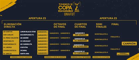 Torneo De Copa Unafut Primera Divisi N De Costa Rica