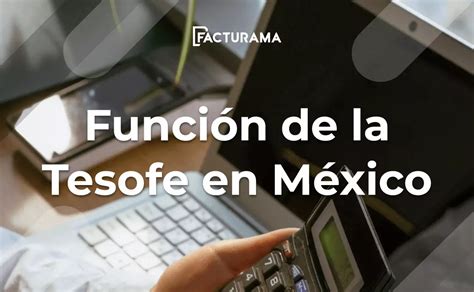 Qu Funci N Cumple La Tesofe En La Gesti N De Recursos