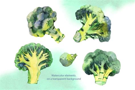 Broccoli Watercolor Cliparts Master Bundles