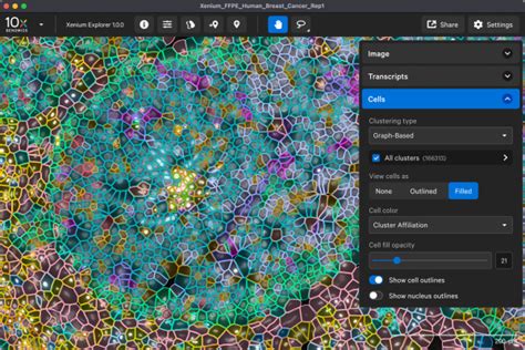 Xenium Explorer Official 10x Genomics Support