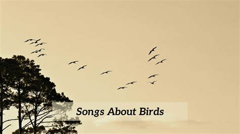 9 Pieces Of Songs About Birds - CMUSE