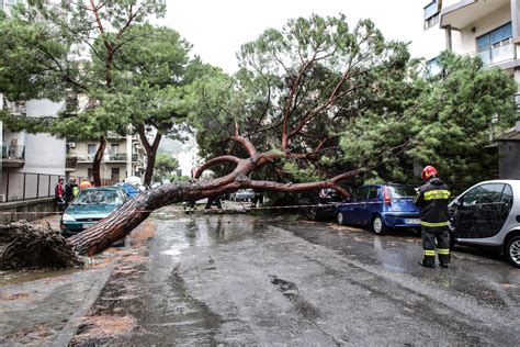 Alberi Caduti Mareggiate E Strade Allagate A Messina Le Foto