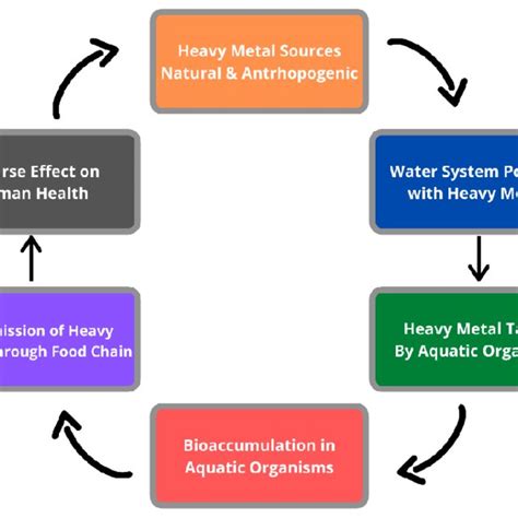 Different Sources of Heavy Metal Contamination in Water & Aquaculture ...