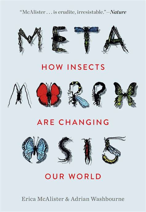 Metamorphosis How Insects Are Changing Our World Nhbs Good Reads