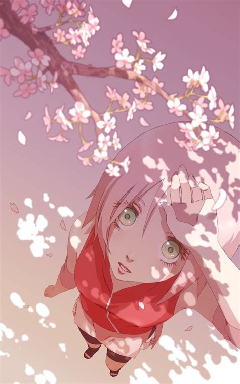 Haruno Sakura Full 1139928