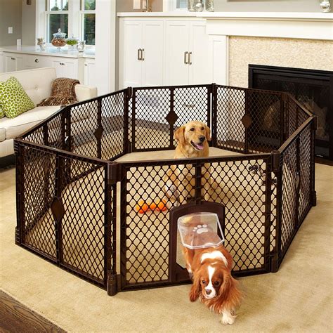 The 10 Best Puppy Playpens: Our Favorite Options for 2019