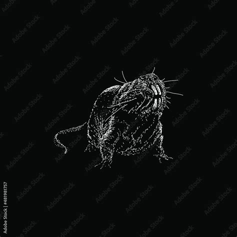 Naked Mole Rat Hand Drawing Vector Illustration Isolated On Black Background Stock Vector