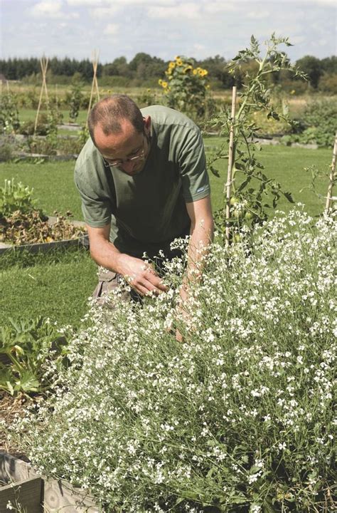 Potager Mod Les De Potagers Normands C T Maison