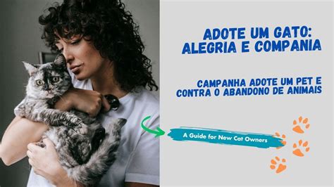 Adote Um Gato Alegria E Companhia CAMPANHA ADOTE UM PET E ABANDONO DE