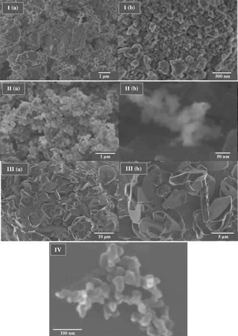 Scanning Electron Microscopy Images Of Silica I A And I B Silica