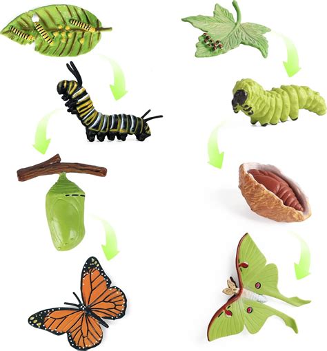 SIENON 4pcs Butterfly Life Cycle Toy Figurines And 4pcs Actias