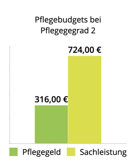 Pflegegrad 2 Jetzt Alle Leistungen 2022 Sichern