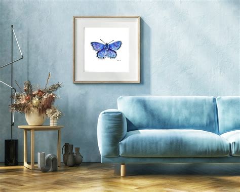 The Xerces Blue Butterfly Original Watercolour Painting - Etsy Canada