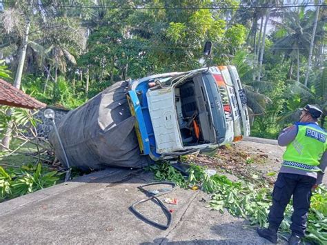 Tertimpa Pohon Kelapa Tumbang Truk Terguling Di Km 58 Denpasar