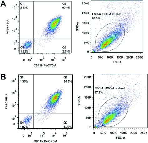 Assessment Of Mouse Peritoneal Macrophage Purity Mice Were Injected