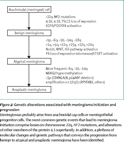 Figure 3 From Histological Classification And Molecular Genetics Of Meningiomas Semantic Scholar