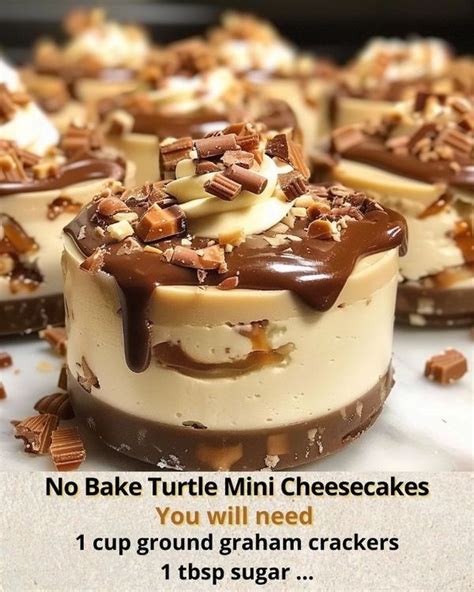 Naomi S Recipes No Bake Turtle Mini Cheesecakes Facebook In 2024