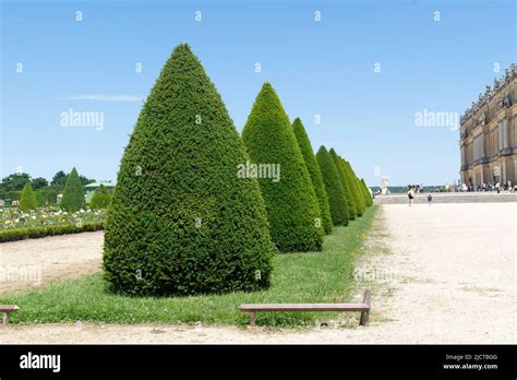 Gardens at the Chateau Versailles, Paris Stock Photo - Alamy