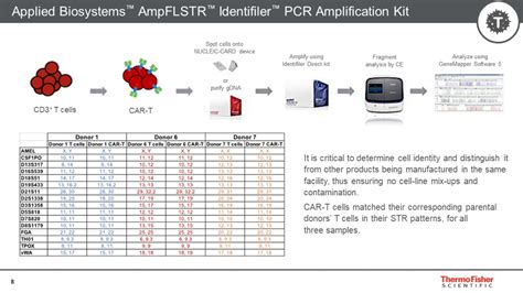 Car T Generation For Identity Purity And Potency Assay Testing Youtube