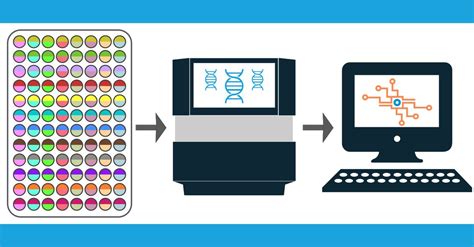 Abterra Biosciences On Linkedin Hybridoma Sequencing