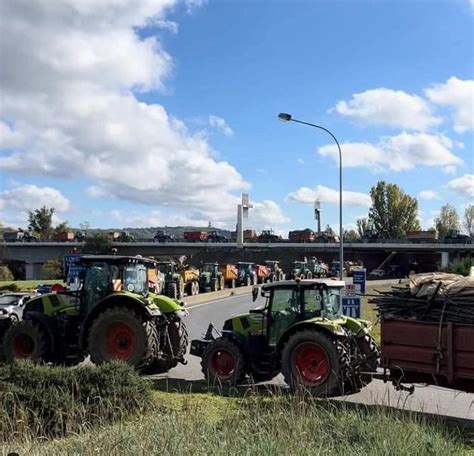 Les Protestations Des Agriculteurs Europ Ens Pourraient Elles Avoir Des