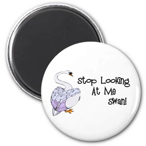 Stop Looking At Me Swan Magnet | Zazzle