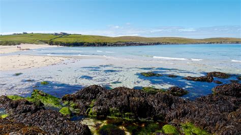 Shetland Island Guide To Yell Northlink Ferries