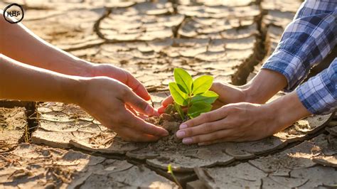 Le Groupe d experts intergouvernemental sur l évolution du climat GIEC