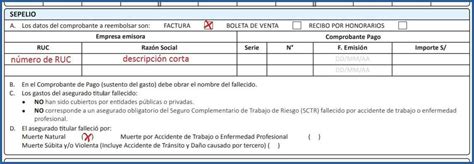 Formulario 1040 Essalud ¿cómo Llenarlo Correctamente Minsa