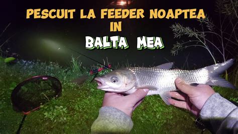 Pescuit La Feeder Noaptea In Balta Mea Pe Ploaie Cu Fulgere Crap