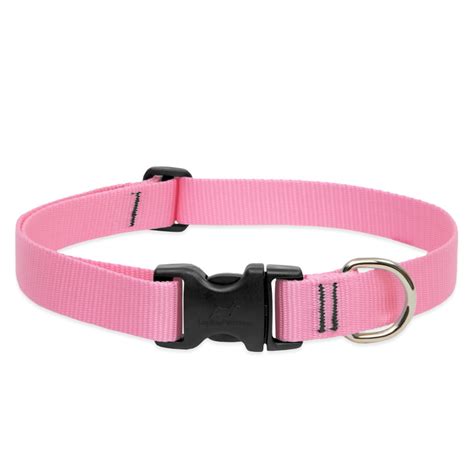 COLLAR LUPINE PARA PERRO CON BROCHE PINK La Jungla De Timo