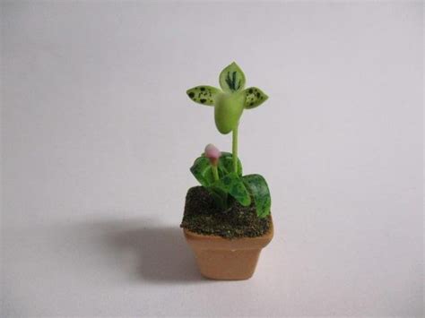 Se Produkter Som Liknar Miniatyr Blomkruka Med Orkid P Tradera