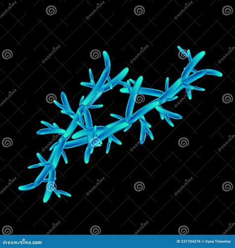 C Pseudotropicalis Candida Pathogene Gistachtige Schimmels Van Het