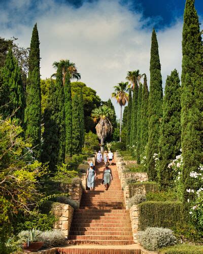 Image of Jardí Botànic Marimurtra by Gert Lucas 1042646