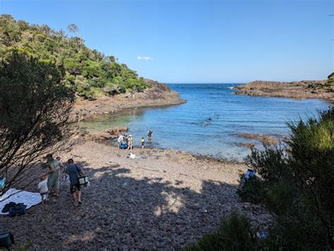 Bushrangers Bay Aquatic Reserve - Shellharbour Attractions | localista