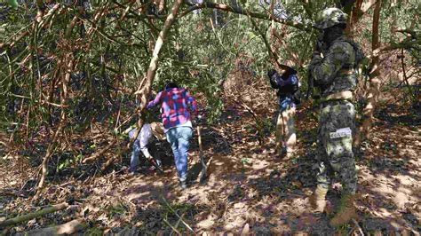 Hallan Seis Cuerpos En Fosas Clandestinas En Michoac N