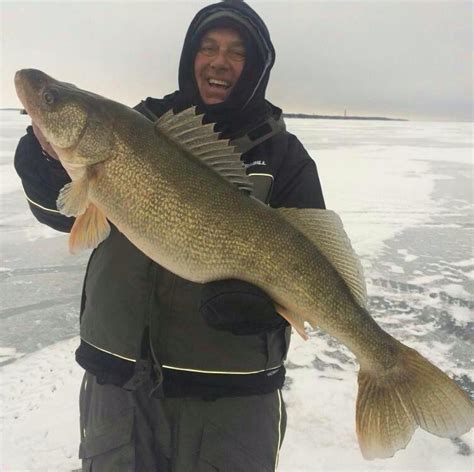 Lake Erie Michigan Walleye Fishing Report - Unique Fish Photo