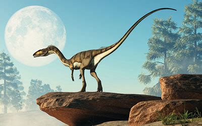 The Fossils Still Say No: Tumultuous Triassic Tussle | The Institute ...