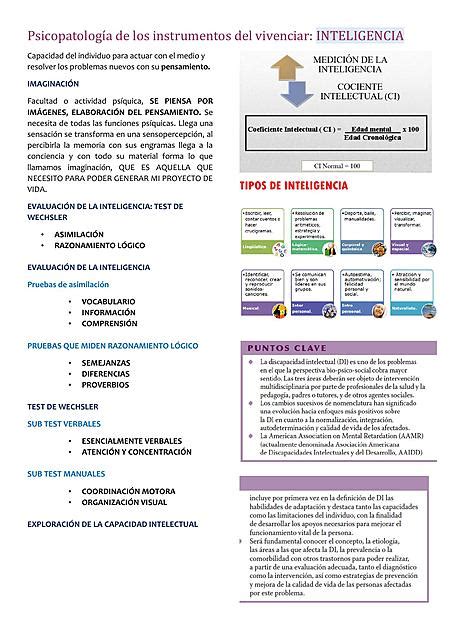 Psicopatolog A De Los Instrumentos Del Vivenciar Inteligencia Camila