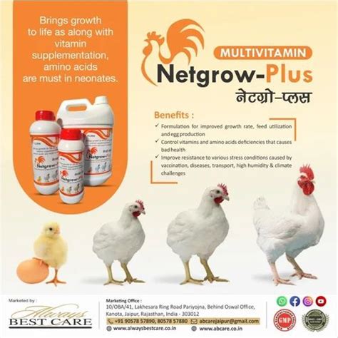 Poultry Growth Promoter Supplement Packaging Type Pp Bag Packaging