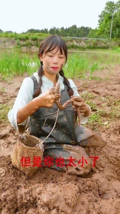 【村裏一枝雪妹妹】農村美女下泥灘捉黃鱔 不成想抓到蛇 被嚇到了！現場有點生猛 美食分享 農村生活 Shorts Youtube