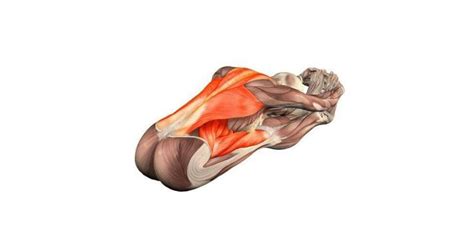 The 6 Most Important Stretches for (Intense) Lower Back Pain