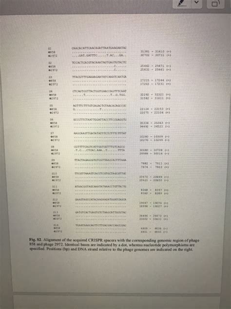 Solved Materials And Methods Isolation Of Phage Resistant Chegg