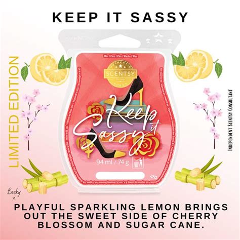 Keep It Sassy Scentsy Bar The Candle Boutique Scentsy Uk Consultant